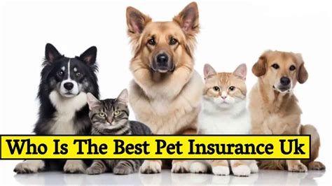 recommended pet insurance uk.